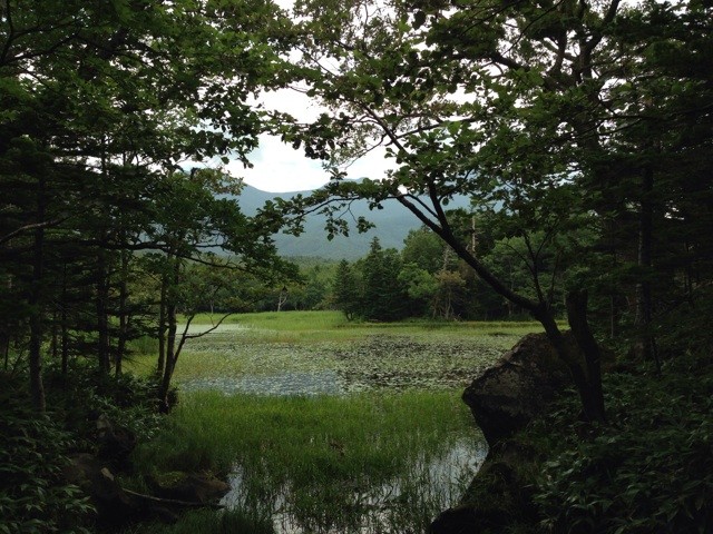 f:id:norio373:20140813143522j:plain f:id:norio373:20140813143522j:plain
