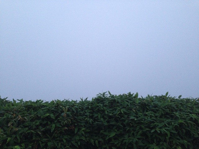 f:id:norio373:20140815042856j:plain f:id:norio373:20140815042856j:plain