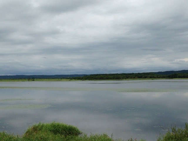 f:id:norio373:20140815165111j:plain f:id:norio373:20140815165111j:plain