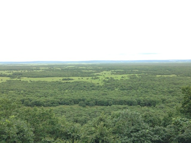 f:id:norio373:20140815165820j:plain f:id:norio373:20140815165820j:plain