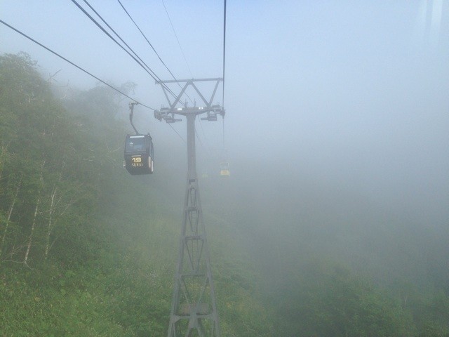 f:id:norio373:20140816132108j:plain f:id:norio373:20140816132108j:plain