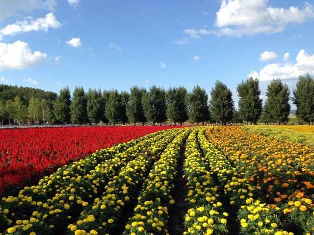 f:id:norio373:20140816222617j:plain f:id:norio373:20140816222617j:plain