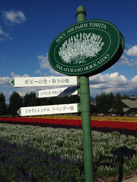f:id:norio373:20140816222710j:plain f:id:norio373:20140816222710j:plain