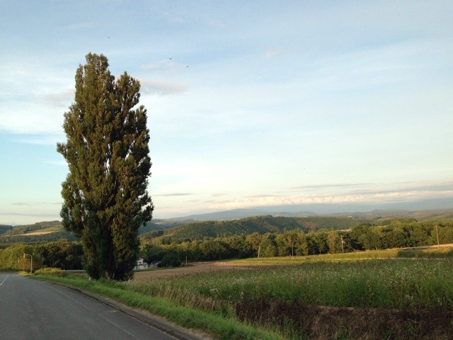 f:id:norio373:20140816224325j:plain f:id:norio373:20140816224325j:plain