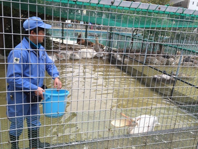 f:id:norio373:20150215214114j:plain f:id:norio373:20150215214114j:plain