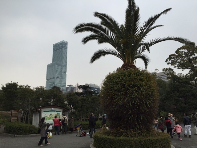 f:id:norio373:20150215214203j:plain f:id:norio373:20150215214203j:plain