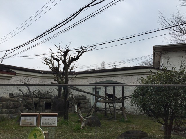 f:id:norio373:20150215214551j:plain f:id:norio373:20150215214551j:plain