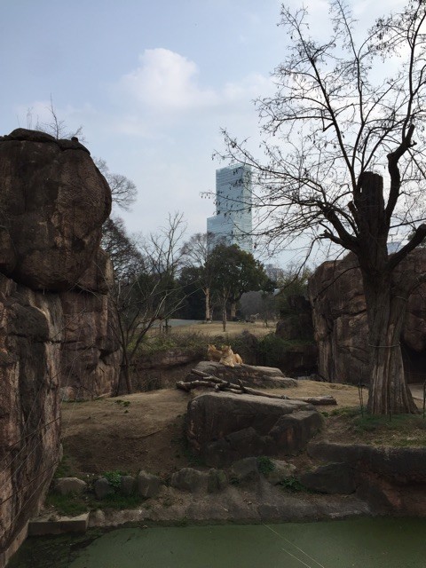 f:id:norio373:20150215214643j:plain f:id:norio373:20150215214643j:plain