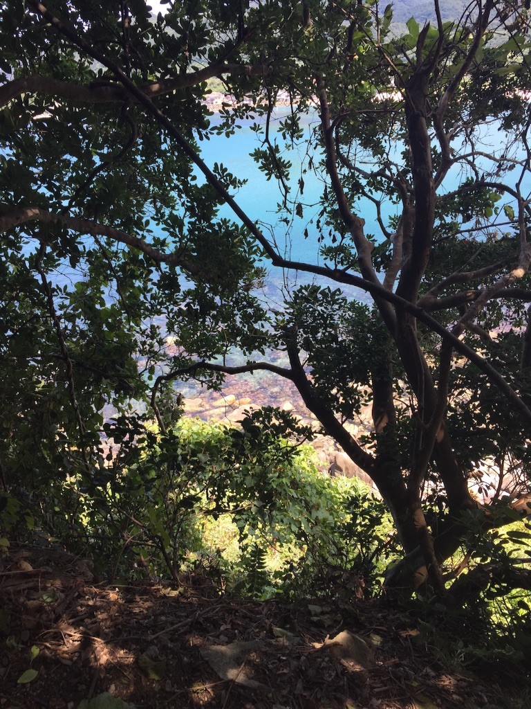 f:id:norio373:20150720204007j:image f:id:norio373:20150720204007j:image