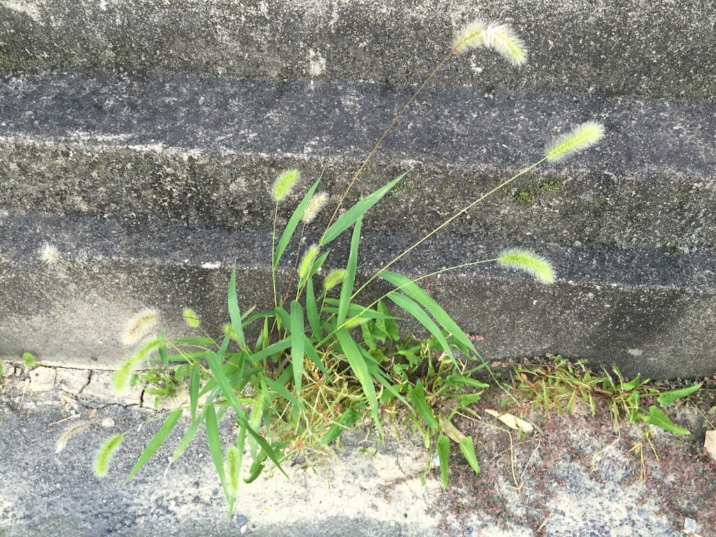 f:id:norio373:20151010140258j:image f:id:norio373:20151010140258j:image