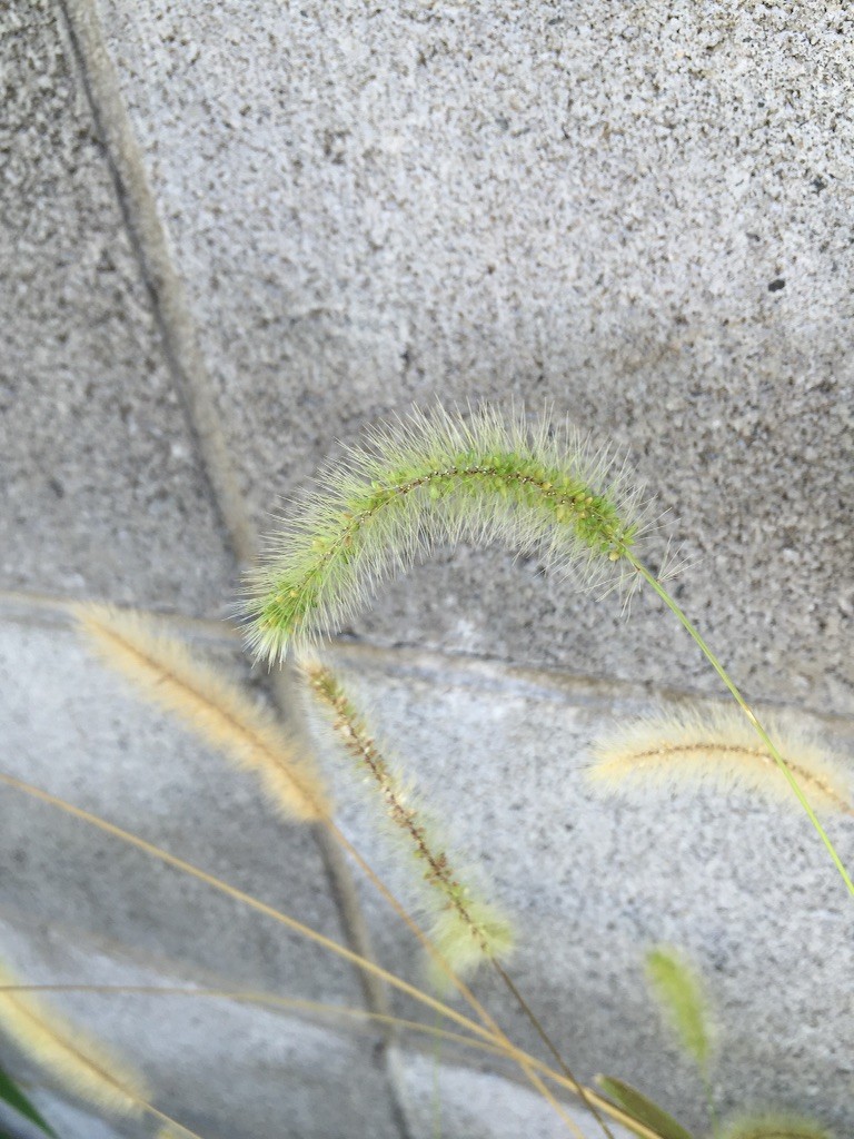 f:id:norio373:20151010140620j:image f:id:norio373:20151010140620j:image