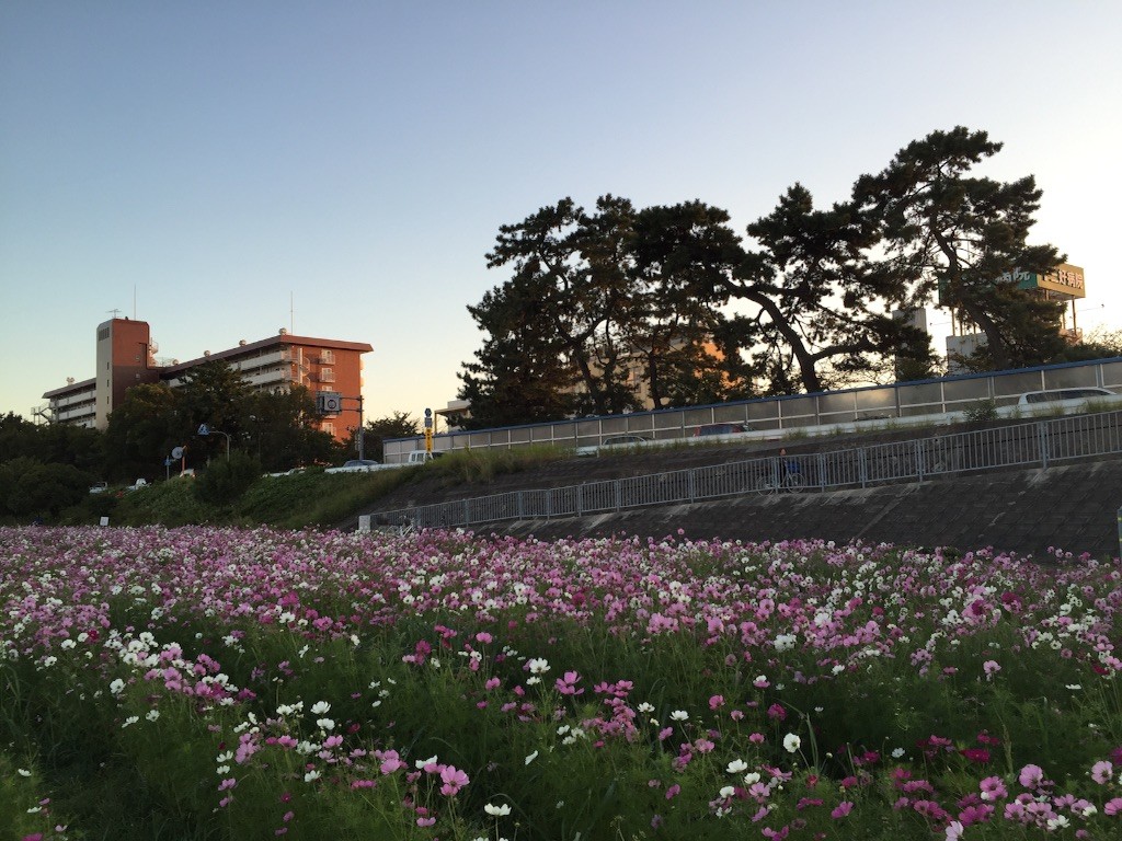 f:id:norio373:20151025220438j:image f:id:norio373:20151025220438j:image