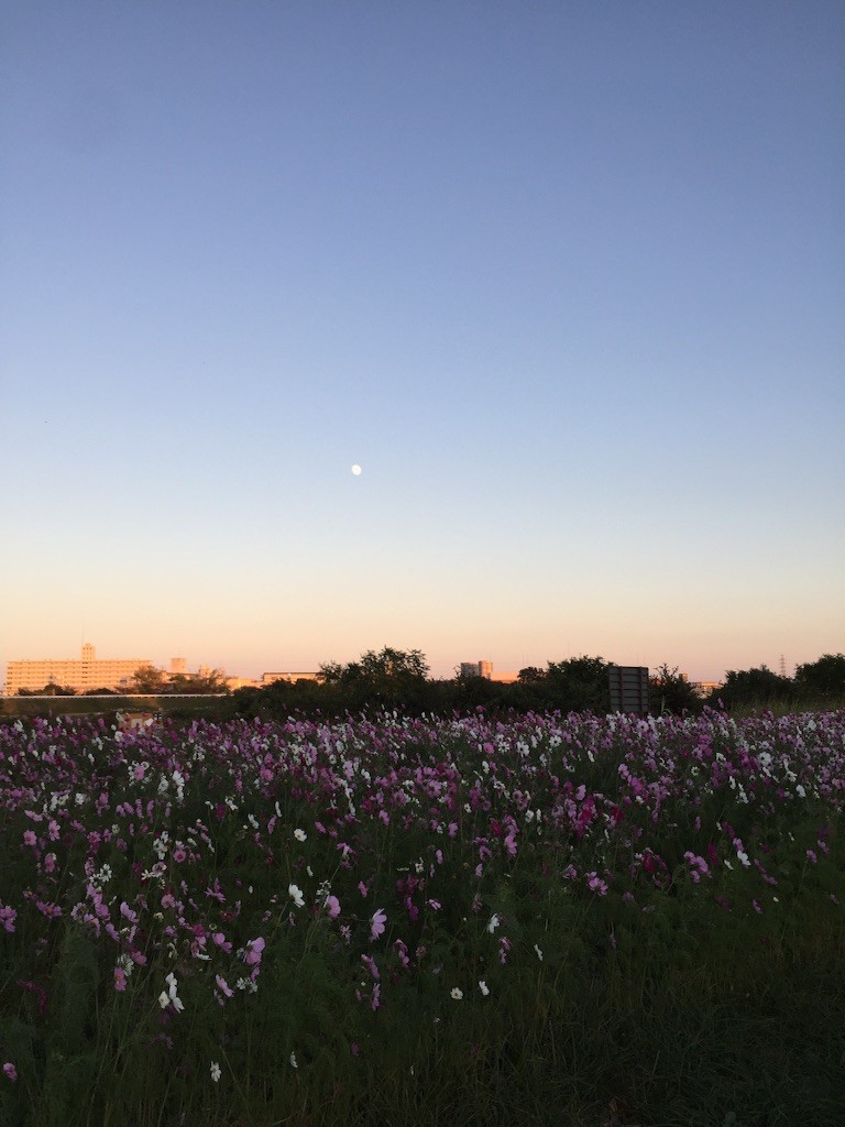 f:id:norio373:20151025220449j:image f:id:norio373:20151025220449j:image