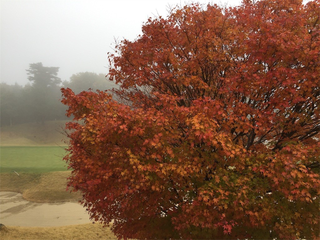 f:id:norio373:20151102201808j:image f:id:norio373:20151102201808j:image