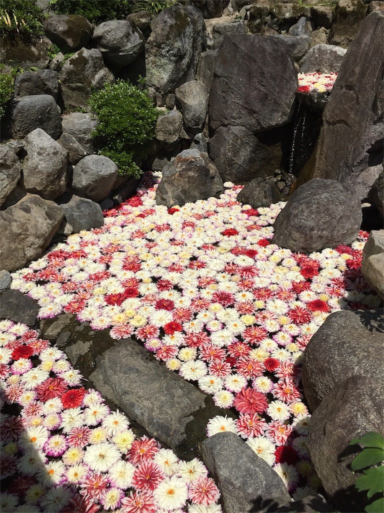 f:id:norio373:20160501201136j:image f:id:norio373:20160501201136j:image