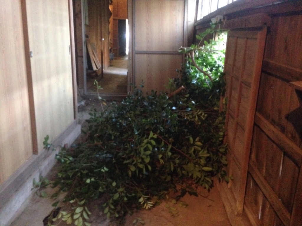 f:id:norioishiwata:20150923032916j:plain f:id:norioishiwata:20150923032916j:plain