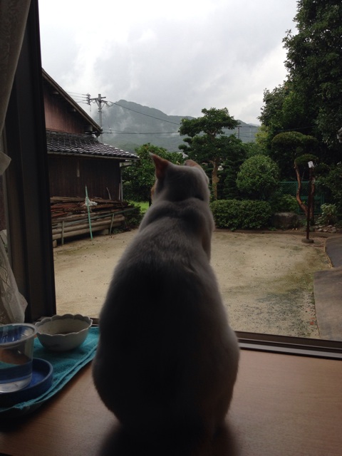 f:id:notanjifu:20140804081246j:plain f:id:notanjifu:20140804081246j:plain