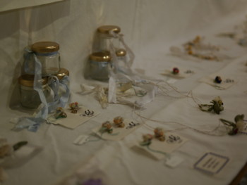 f:id:novi-hiro:20120616174416j:image f:id:novi-hiro:20120616174416j:image