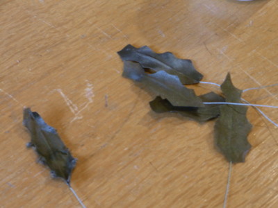 f:id:novi-hiro:20121208134551j:image f:id:novi-hiro:20121208134551j:image