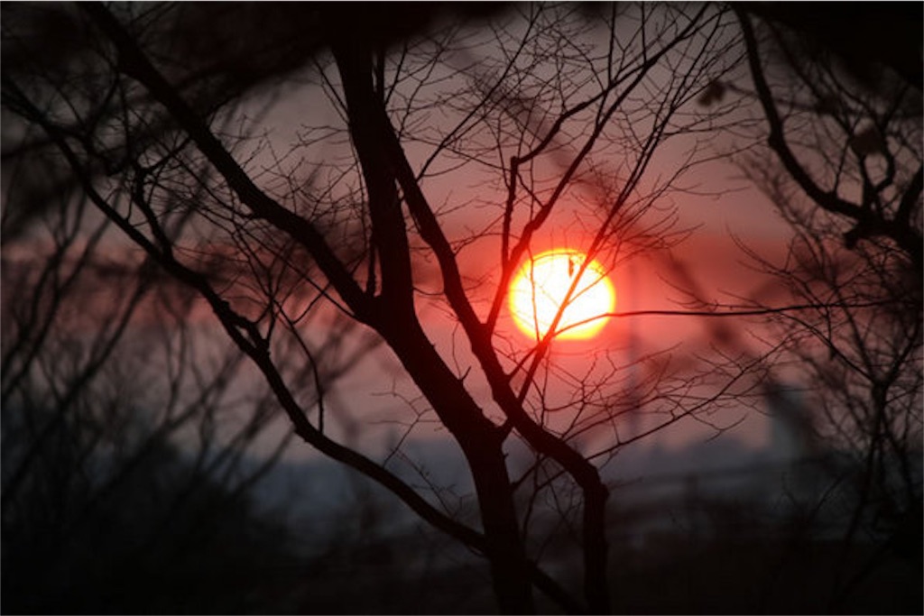 f:id:novkota1984:20151231022157j:image f:id:novkota1984:20151231022157j:image