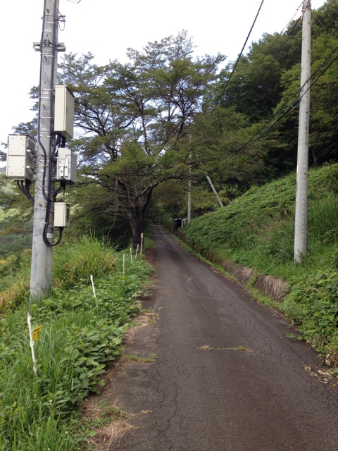 f:id:nowhere319:20140906121122j:plain f:id:nowhere319:20140906121122j:plain
