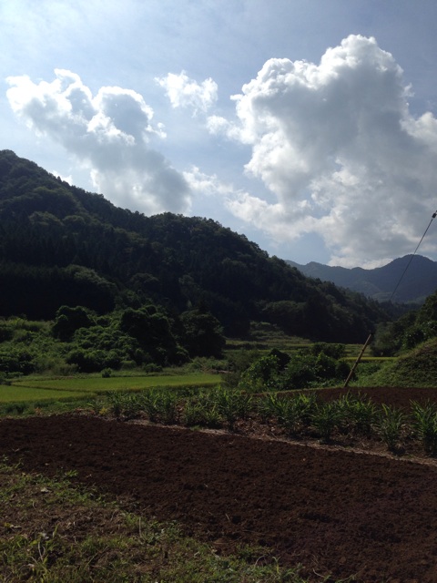 f:id:nowhere319:20140906122724j:plain f:id:nowhere319:20140906122724j:plain