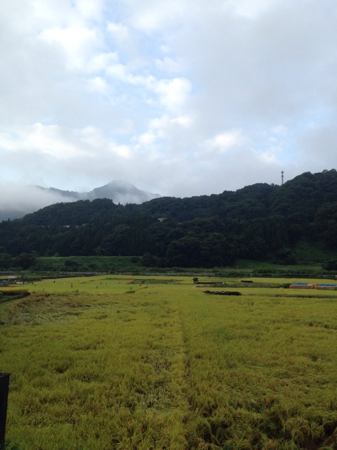 f:id:nowhere319:20140913090525j:plain f:id:nowhere319:20140913090525j:plain