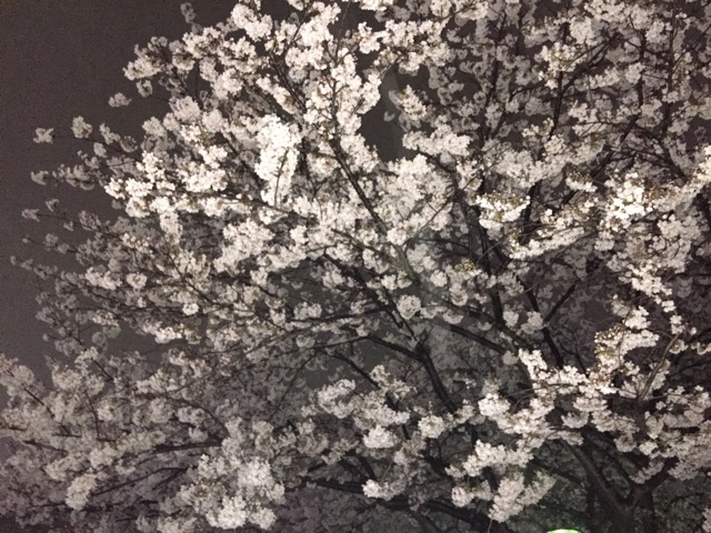 f:id:noykad:20150406203842j:plain f:id:noykad:20150406203842j:plain