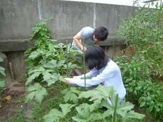 f:id:npofutaba:20120811095154j:image