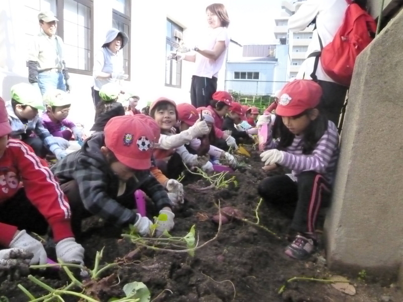 f:id:npofutaba:20121024102429j:plain f:id:npofutaba:20121024102429j:plain