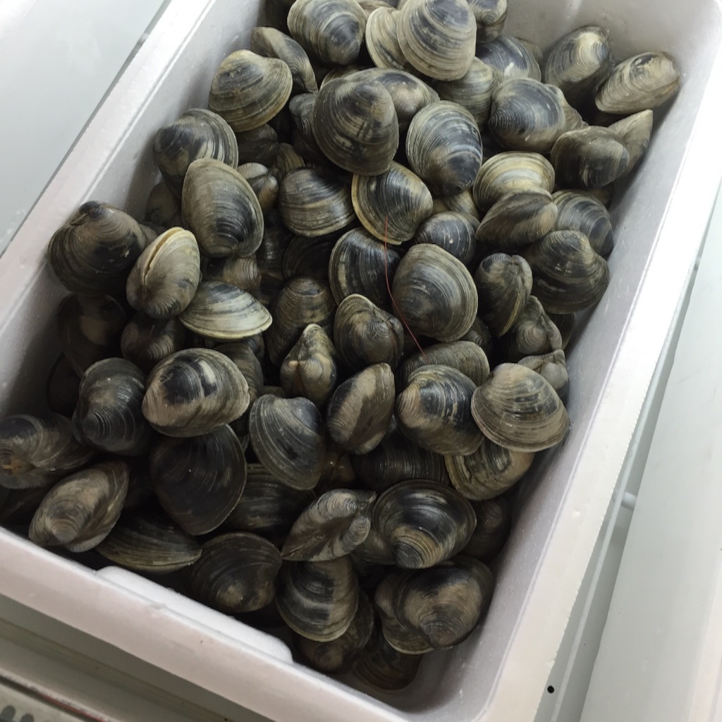 f:id:nqumen:20150718221354j:image f:id:nqumen:20150718221354j:image