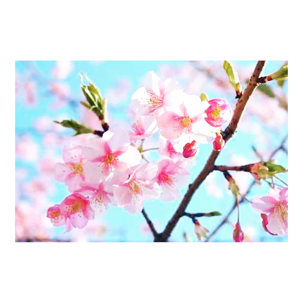 f:id:nrs-tmmy:20160330165425j:image f:id:nrs-tmmy:20160330165425j:image