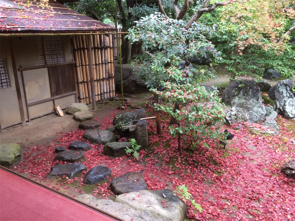 f:id:nuage_blanc:20151231080144j:image f:id:nuage_blanc:20151231080144j:image