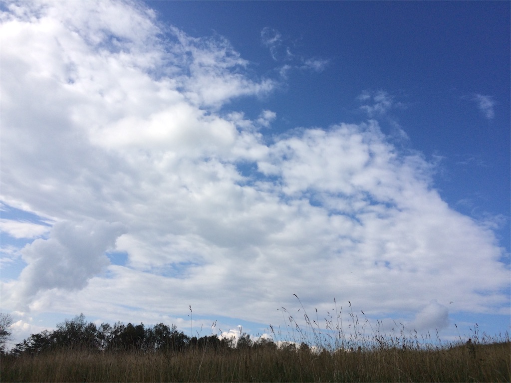 f:id:nuage_blanc:20160417003722j:image f:id:nuage_blanc:20160417003722j:image