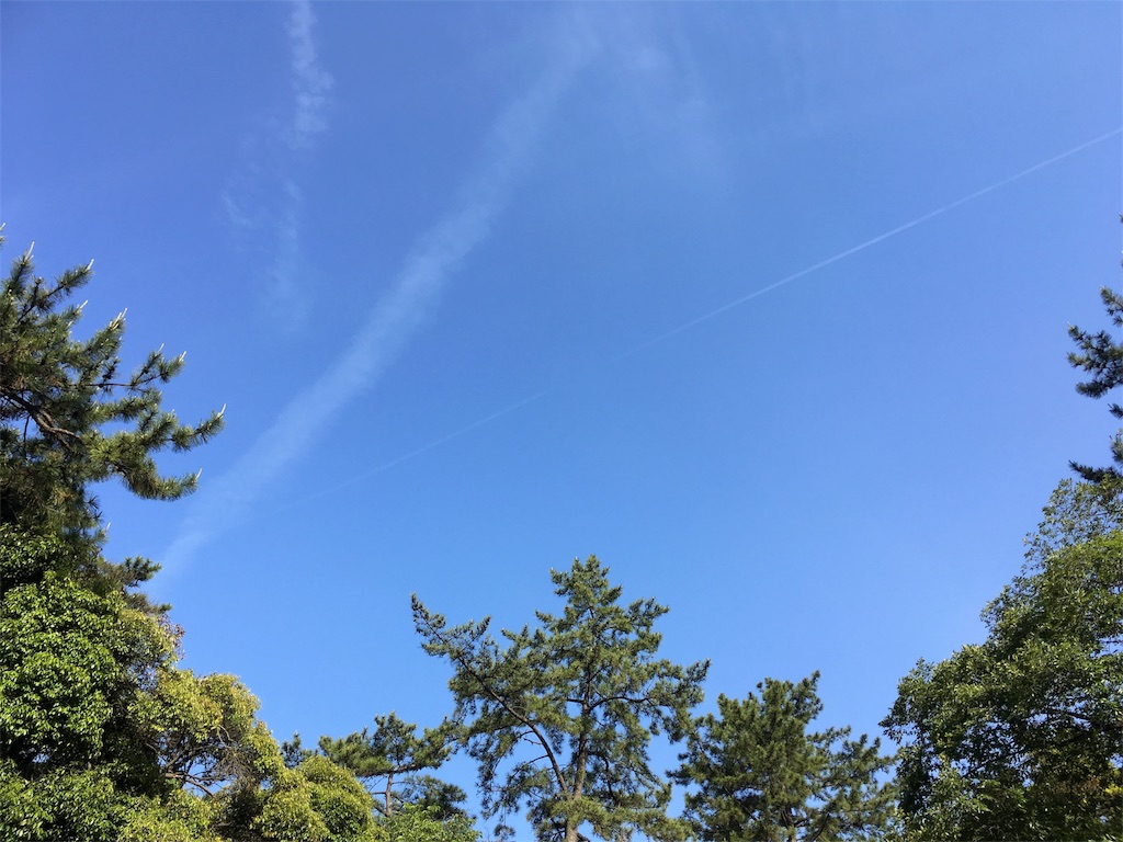 f:id:nuage_blanc:20160520065855j:image f:id:nuage_blanc:20160520065855j:image