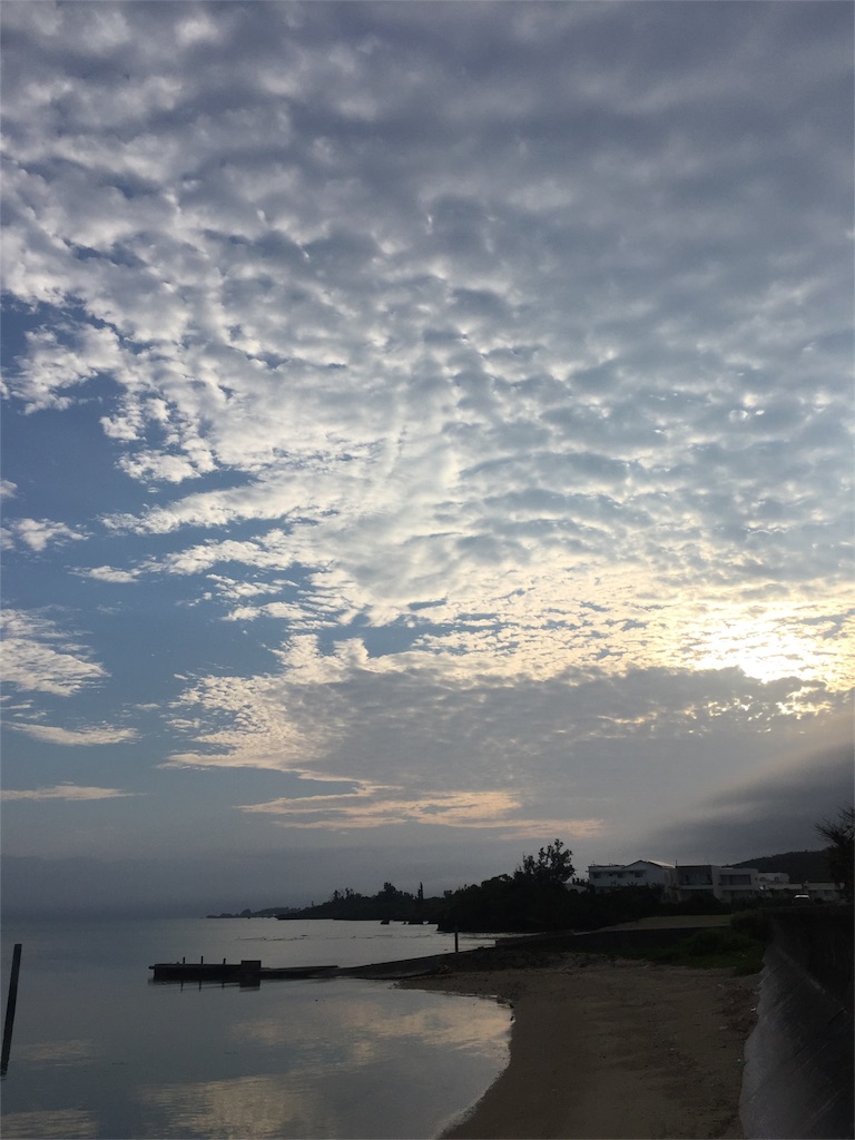 f:id:nukunukuhidamari:20160426070334j:image f:id:nukunukuhidamari:20160426070334j:image