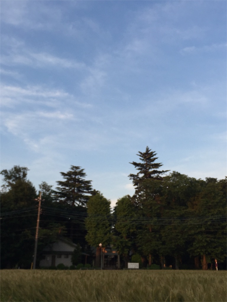 f:id:nukunukuhidamari:20160519151513j:image f:id:nukunukuhidamari:20160519151513j:image