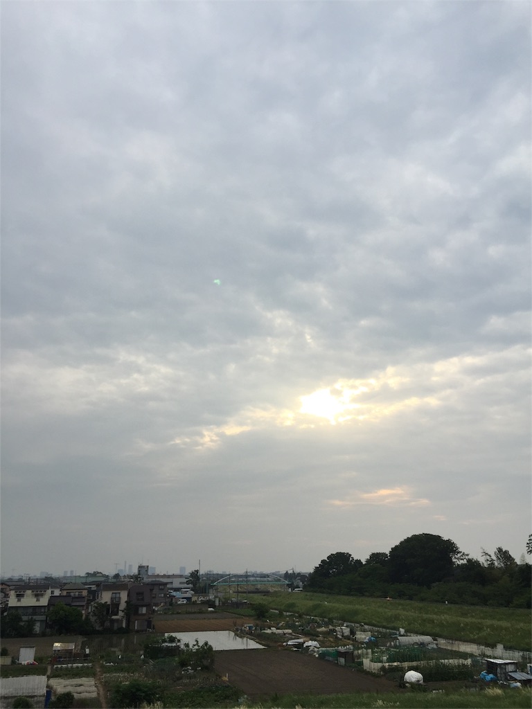 f:id:nukunukuhidamari:20160525055140j:image f:id:nukunukuhidamari:20160525055140j:image