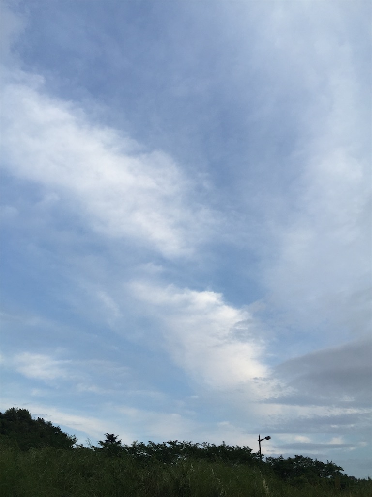 f:id:nukunukuhidamari:20160527155254j:image f:id:nukunukuhidamari:20160527155254j:image