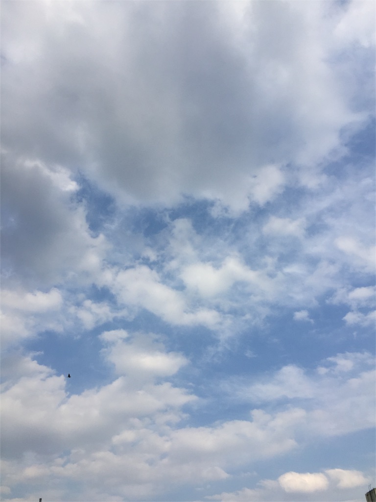 f:id:nukunukuhidamari:20160602054850j:image f:id:nukunukuhidamari:20160602054850j:image