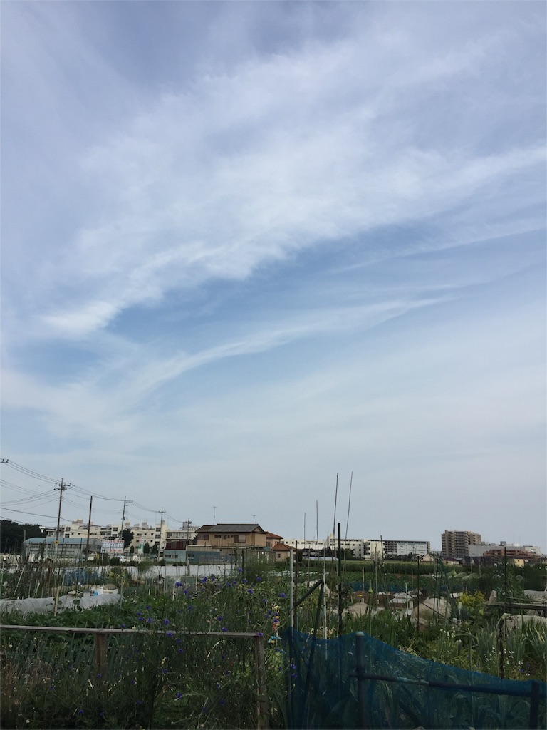 f:id:nukunukuhidamari:20160602091223j:image f:id:nukunukuhidamari:20160602091223j:image