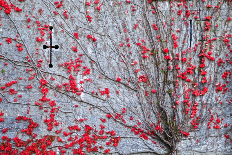 f:id:nullnull7:20131020162859j:plain f:id:nullnull7:20131020162859j:plain