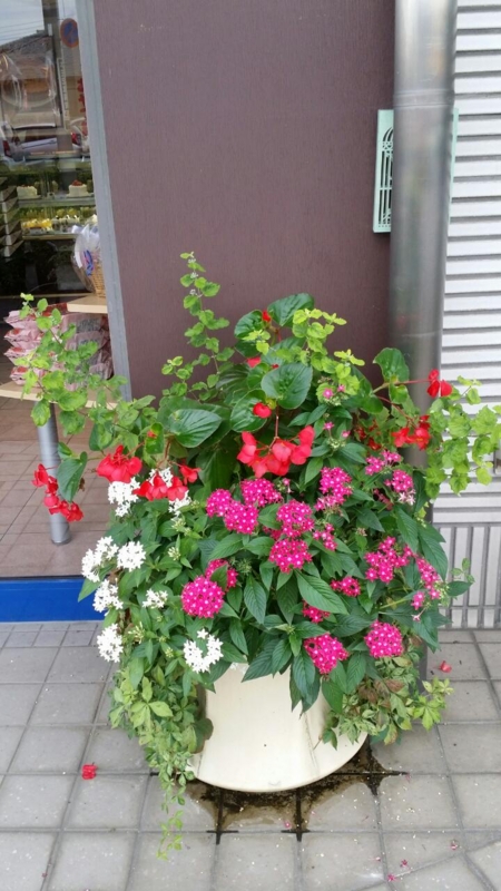 f:id:numamama:20140919233026j:plain f:id:numamama:20140919233026j:plain
