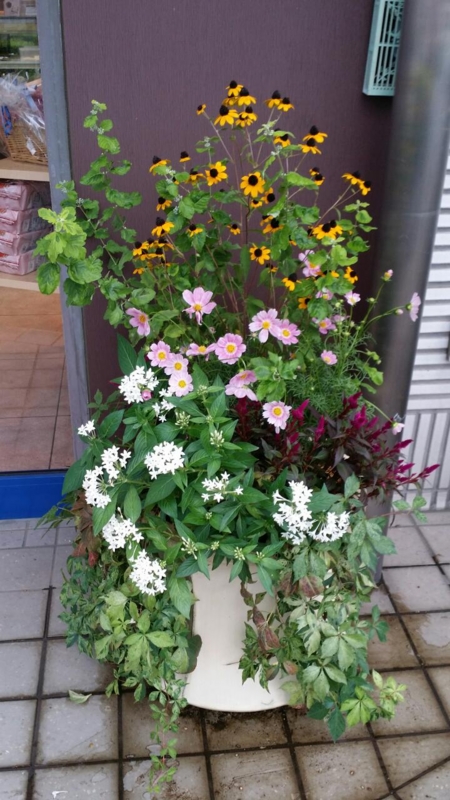 f:id:numamama:20140919233044j:plain f:id:numamama:20140919233044j:plain