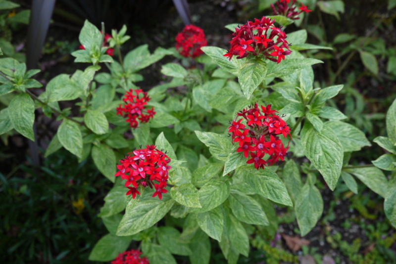 f:id:numamama:20141023225312j:plain f:id:numamama:20141023225312j:plain
