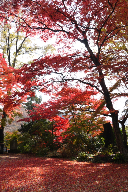 f:id:numamama:20141128214354j:plain f:id:numamama:20141128214354j:plain