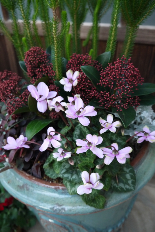 f:id:numamama:20141205205137j:plain f:id:numamama:20141205205137j:plain