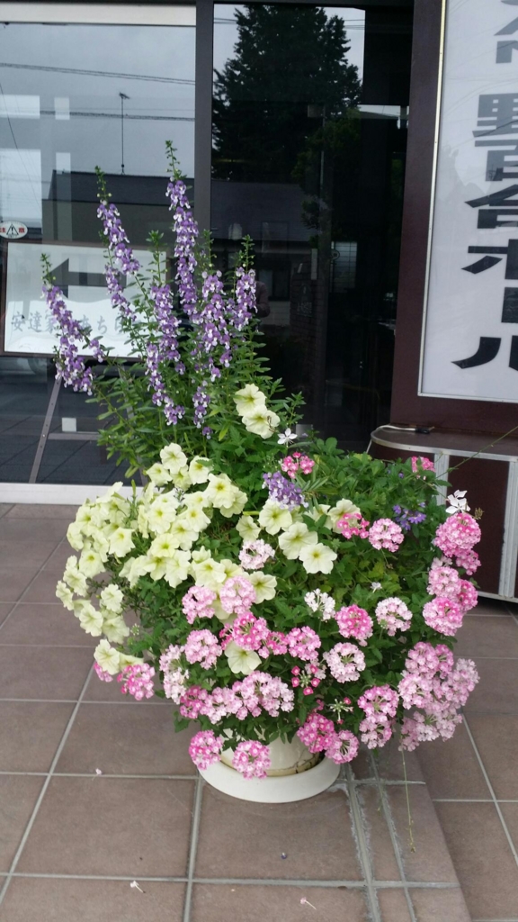 f:id:numamama:20150823100348j:plain f:id:numamama:20150823100348j:plain