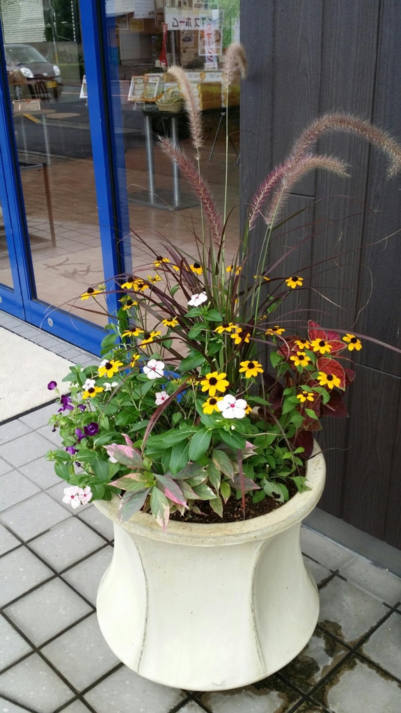 f:id:numamama:20150823112912j:plain f:id:numamama:20150823112912j:plain