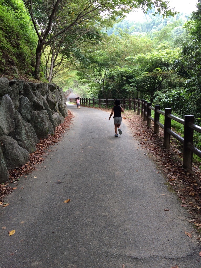 f:id:nunobe:20150818183641j:image f:id:nunobe:20150818183641j:image
